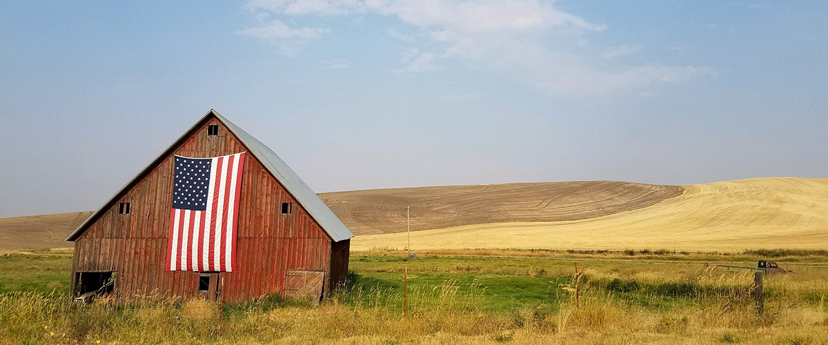 barn with flag in a wheat field